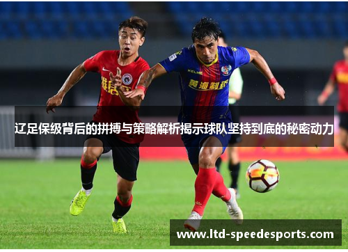 辽足保级背后的拼搏与策略解析揭示球队坚持到底的秘密动力