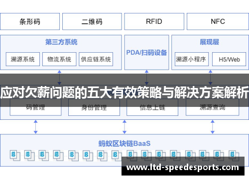 应对欠薪问题的五大有效策略与解决方案解析