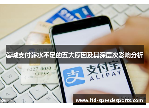 蓉城支付薪水不足的五大原因及其深层次影响分析