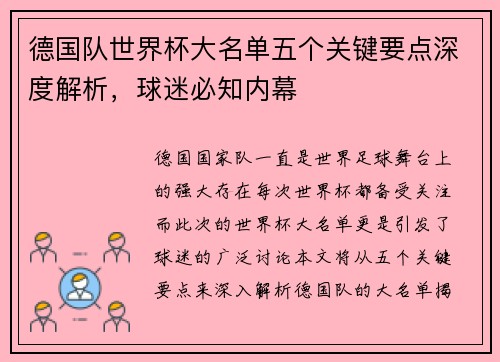 德国队世界杯大名单五个关键要点深度解析，球迷必知内幕