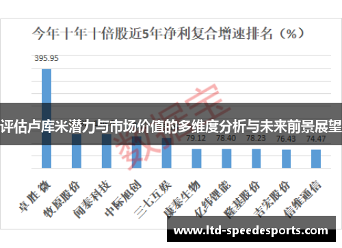 评估卢库米潜力与市场价值的多维度分析与未来前景展望