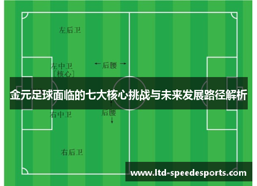金元足球面临的七大核心挑战与未来发展路径解析